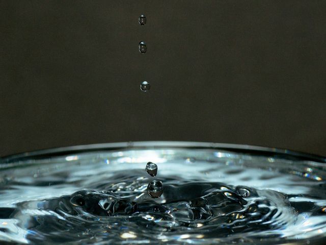 業務用食品容器が支える安心安全と新時代の食文化イノベーション