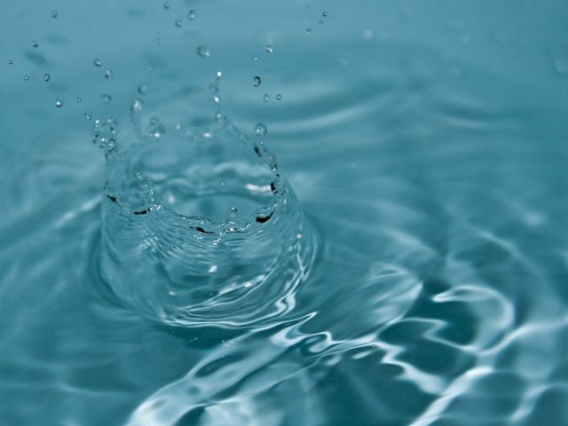 業務用食品容器が支える現場効率と市場競争力向上の新たな視点