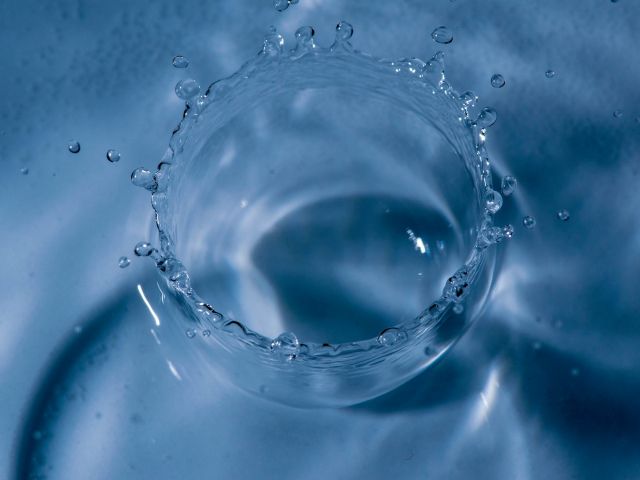 業務用の現場を支える食品容器の機能進化と最適発注の新常識