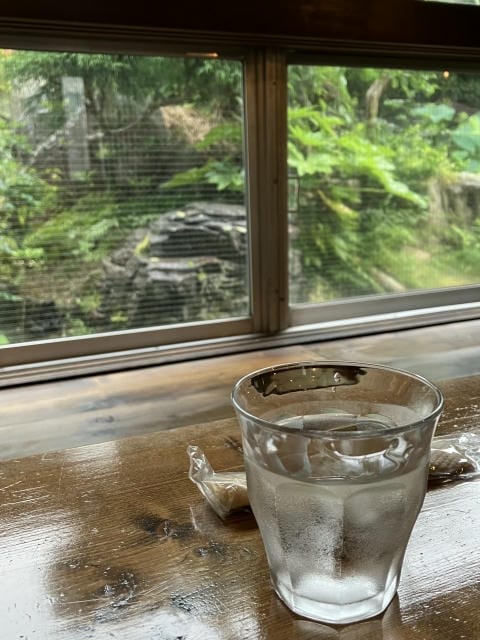 現場を支える食品容器発注の最前線効率化と衛生管理を両立する選定の極意