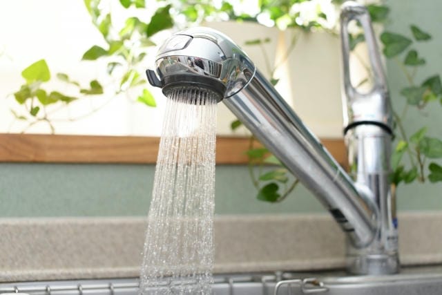 業務用発注が変える食品容器の多機能化と持続可能な食の最前線