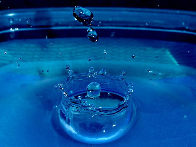 業務用食品容器が支える食の安全とブランド価値現場が選ぶ最適調達戦略